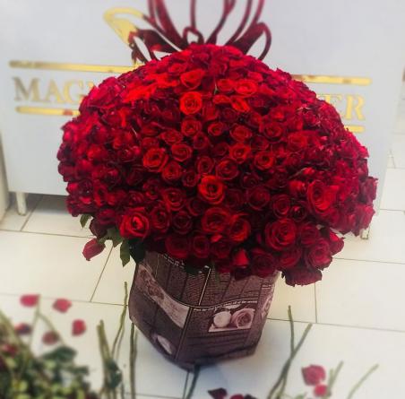 فروشندگان گل رز در تبریز